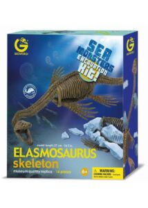 Elasmosaurus skeleton