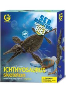 Ichthyosaurus skeleton