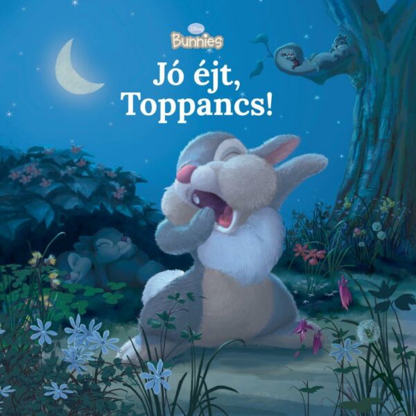 Disney Bunnies - Jó éjt, Toppancs!