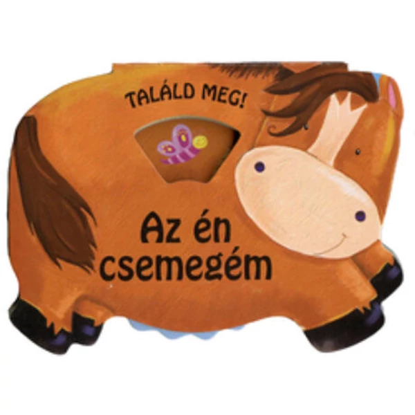 TALÁLD MEG! - AZ ÉN CSEMEGÉM