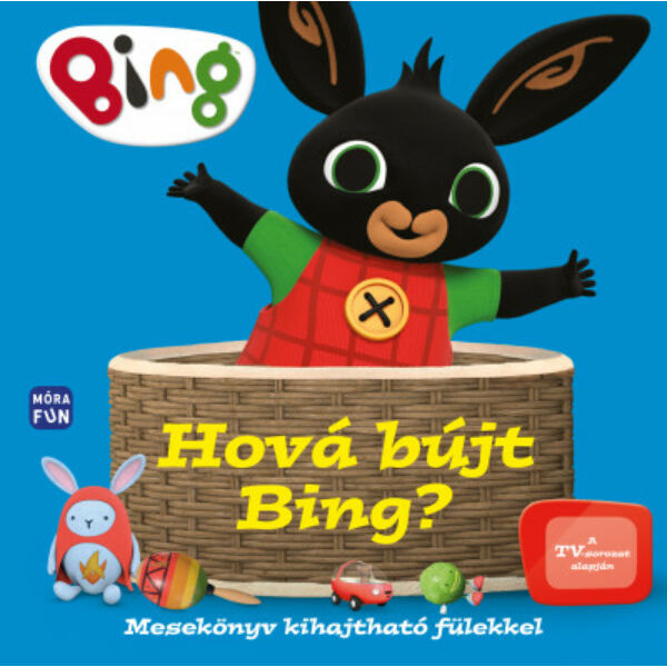 Hová bújt Bing? - Mesekönyv kihajtható fülekkel