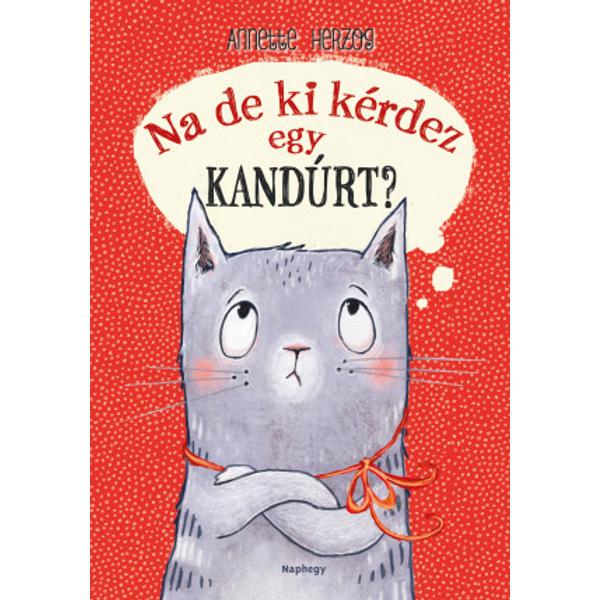 Na de ki kérdez egy kandúrt?