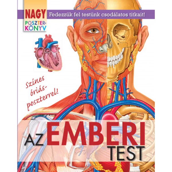 Az emberi test - Nagy poszterkönyv