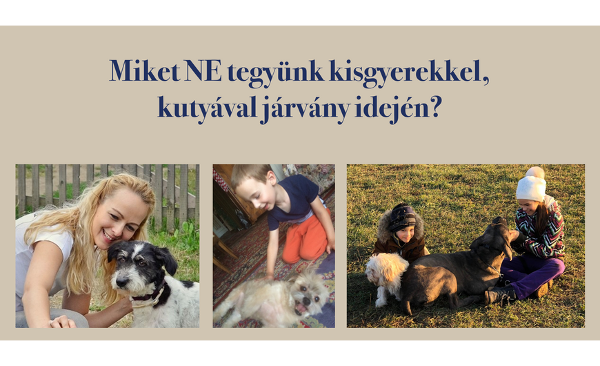 Mit NE tegyünk kisgyerekkel, kutyával járvány idején?